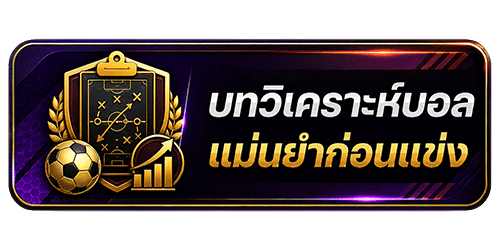 บทวิเคราะหแม่นยำ